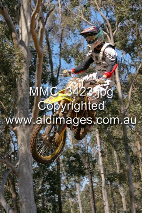 445x677 pixels (95K)